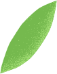 Footer Leaf