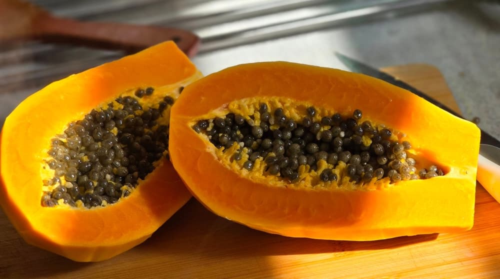 Papaya