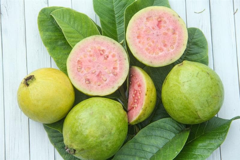 Health Benefits of Guava Fruit and Leaves