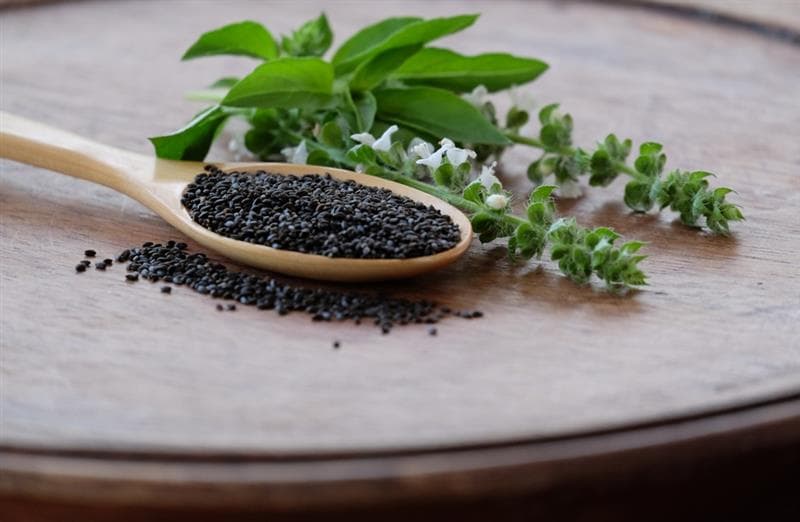 Sabja seeds and leaves on wooden spoon