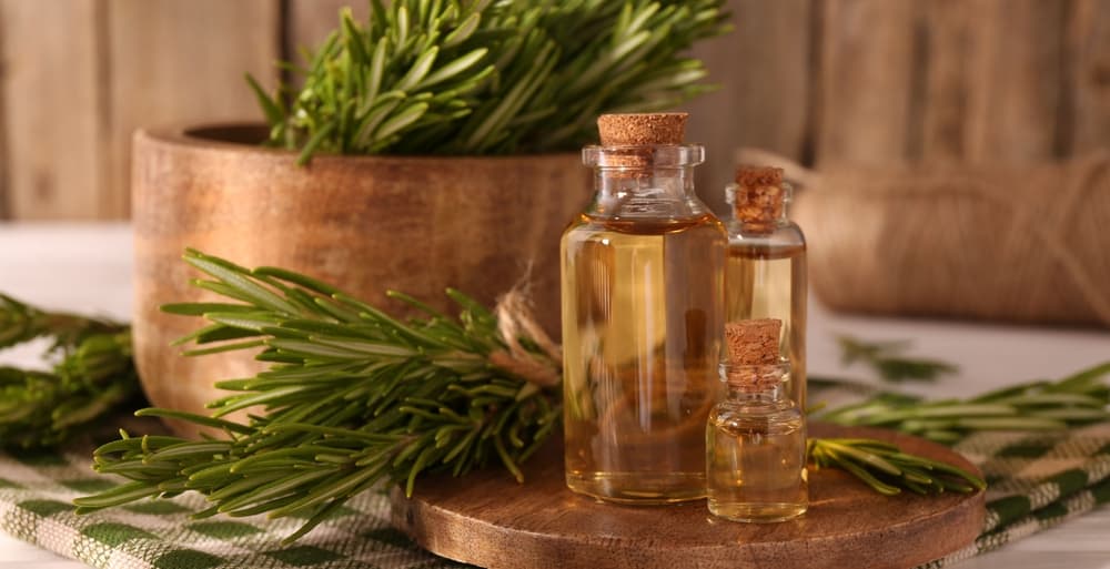 rosemary oil and leaves for hair growth