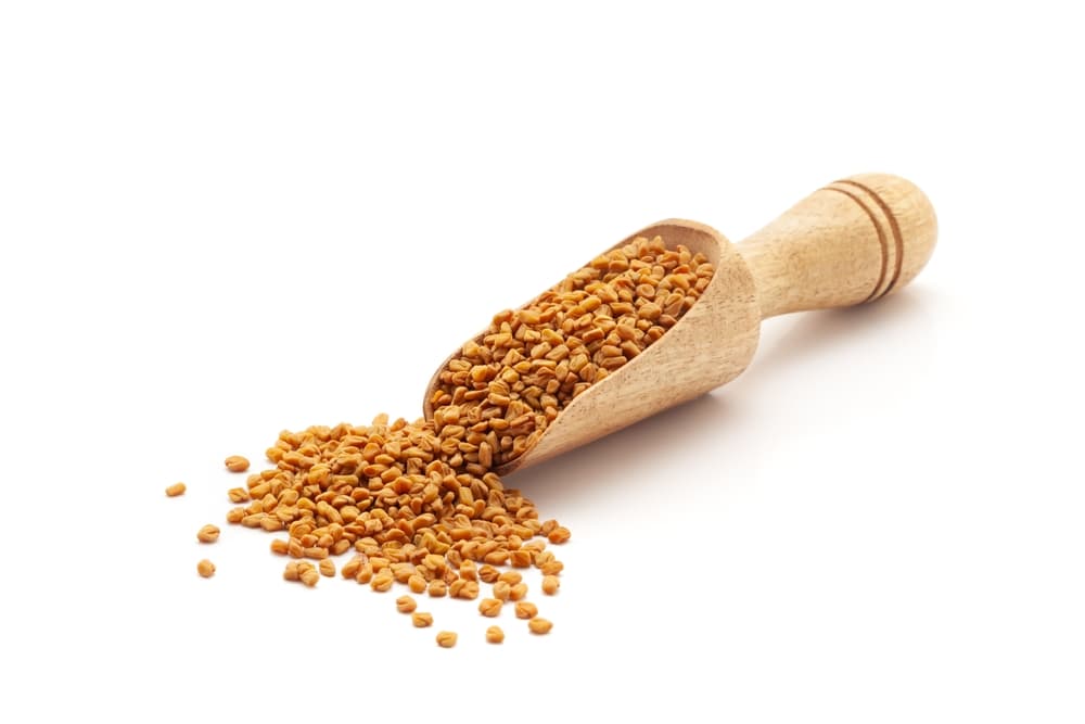 fenugreek seeds in a wooden spoon