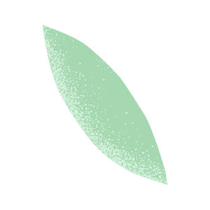 mint-single_leaf