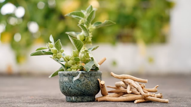 RESET Ashwagandha + Melatonin Gummies